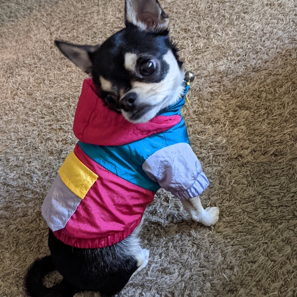 Meet your Posh Ambassador, Tatiana - Picture 7 of 9